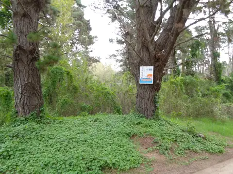 Terreno en Venta en Mar Azul, Partido de Villa Gesell