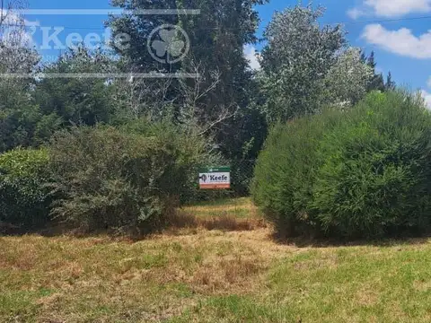 Terreno en Venta en Coronel Brandsen, Partido de Brandsen