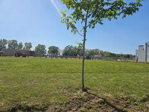 Terreno en Venta en Pilar del Este - Santa Lucia, Countries y Barrios Cerrados en Pilar