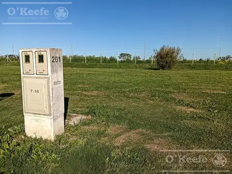 Terreno en Venta en Guillermo E Hudson, Partido de Berazategui