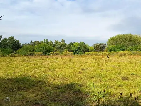 Terreno en Venta en Open Door, Partido de Luján