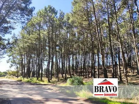 Terreno en Venta en Mar de las Pampas, Partido de Villa Gesell