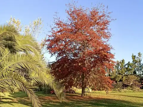 Terreno en Venta en Joaquin Gorina, Partido de La Plata