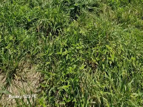 Terreno en Venta en Maximo Paz, Partido de Cañuelas