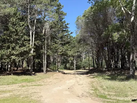 Terreno en Venta en Costa del Este, Partido de La Costa