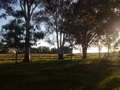 Terreno en Venta en Marcos Paz, Partido de Marcos Paz