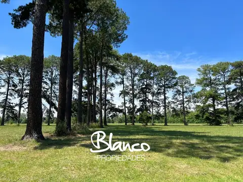 Terreno en Venta en Los Pinares Country Club, Countries y Barrios Cerrados en Exaltacion de la Cruz