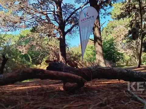 Terreno en Venta en Costa del Este, Partido de La Costa