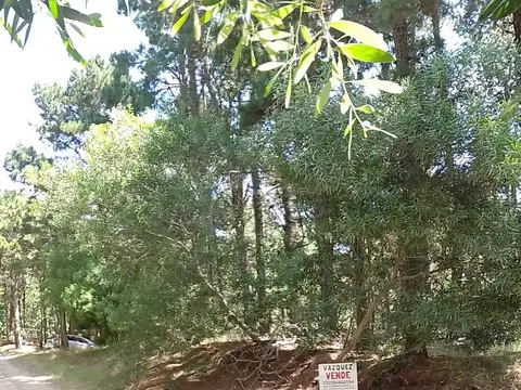 Terreno en Venta en Mar de las Pampas, Partido de Villa Gesell