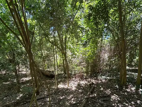 Terreno en Venta en Monte Hoffmann, Parada Robles