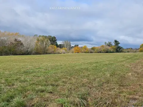 Terreno en Venta en Loma Verde, Partido de Escobar