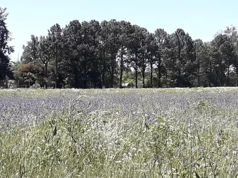 Terreno en Venta en Manzanares, Partido de Pilar