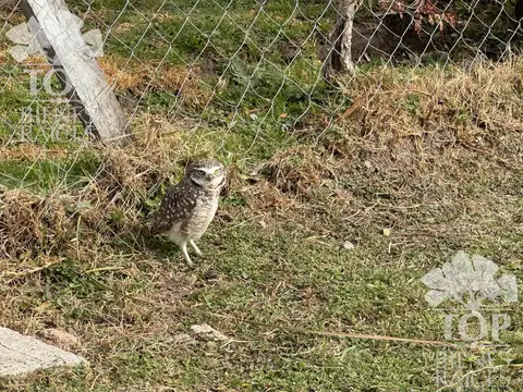 Terreno en Venta en Pilar del Este - Santa Elena, Countries y Barrios Cerrados en Pilar