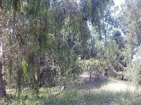 Terreno en Venta en Puertos - Barrio Marinas, Countries y Barrios Cerrados en Escobar