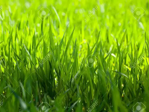 Terreno en Venta en Santo Tomas, Countries y Barrios Cerrados en Pilar