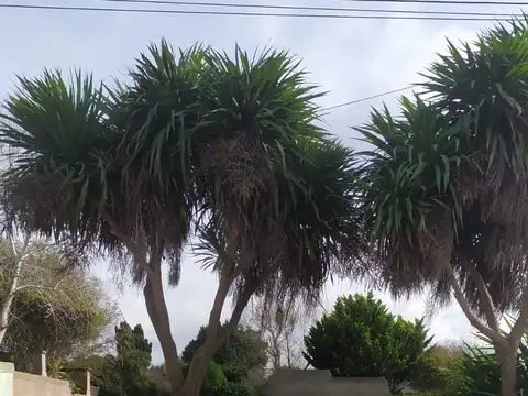 Terreno en Venta en Santa Clara del Mar, Partido de Mar Chiquita