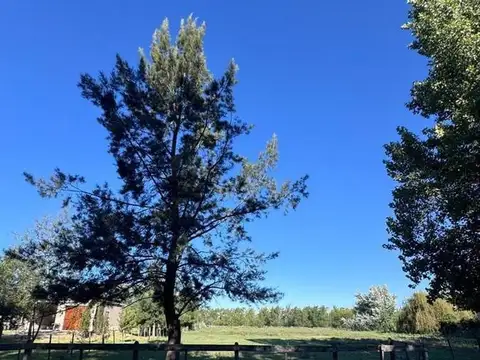 Terreno en Venta en El Malacate, Countries y Barrios Cerrados en Exaltacion de la Cruz