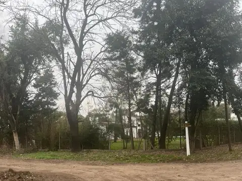 Terreno en Venta en Francisco Alvarez, Partido de Moreno