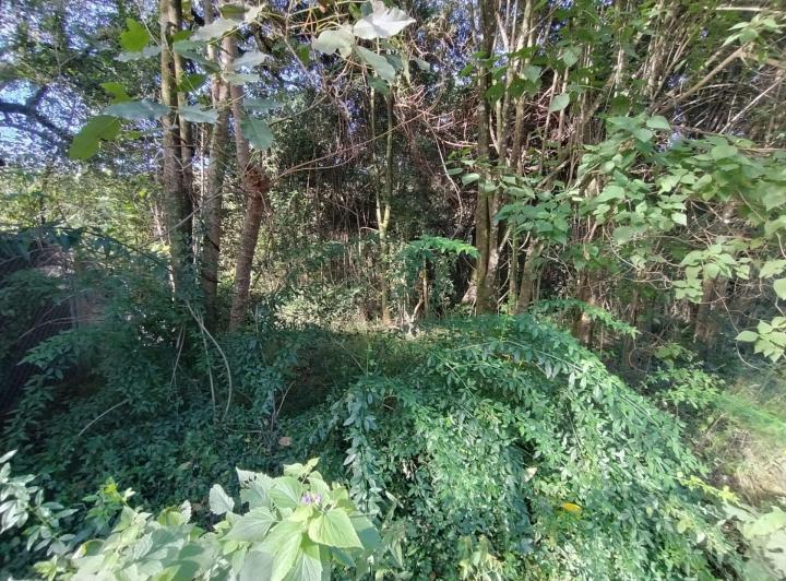 Terreno · 1058m²