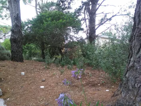 Terreno en Venta en Las Gaviotas, Mar Azul