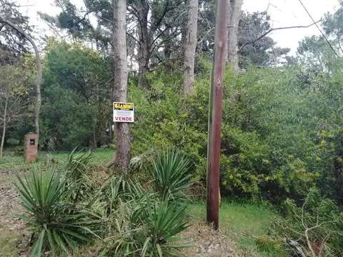 Terreno en Venta en Alfalad, Partido de Daireaux