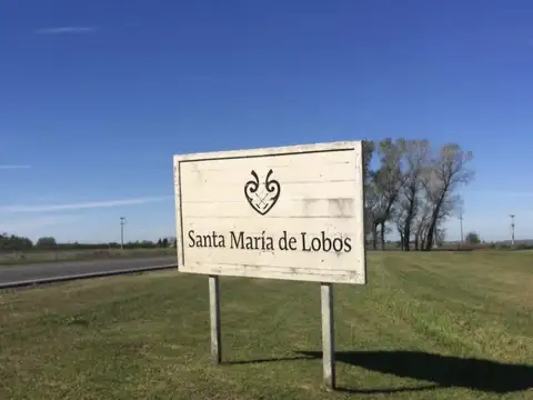Terreno en Venta en Lobos, Partido de Lobos