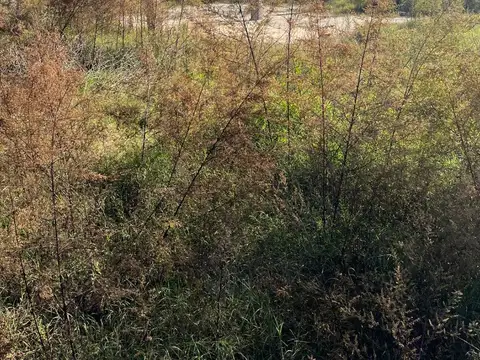 Terreno en Venta en General Rodriguez, Partido de General Rodríguez