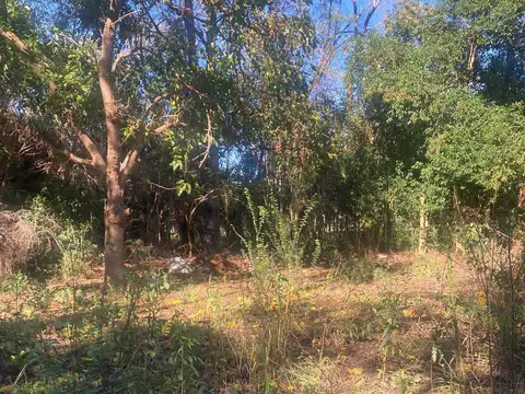 Terreno en Venta en Otamendi, Partido de Campana