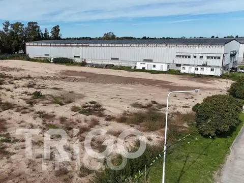 Terreno en Venta en Burzaco, Partido de Almirante Brown