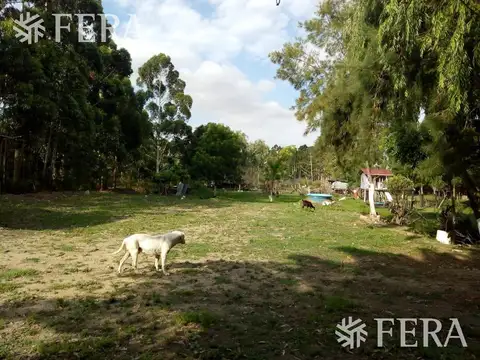 Terreno en Venta en Sarandi, Partido de Avellaneda