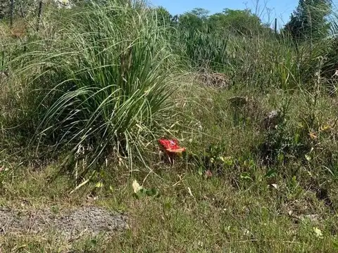 Terreno en Venta en Dique Lujan, Partido de Tigre