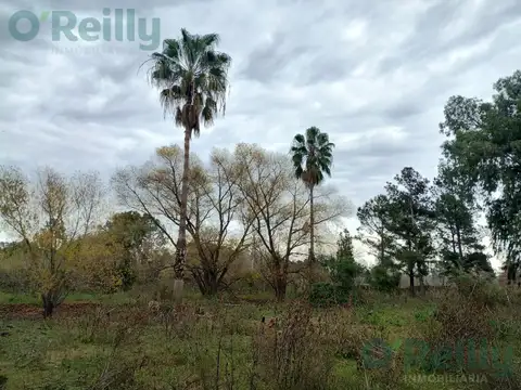 Terreno en Venta en Tigre Centro, Partido de Tigre