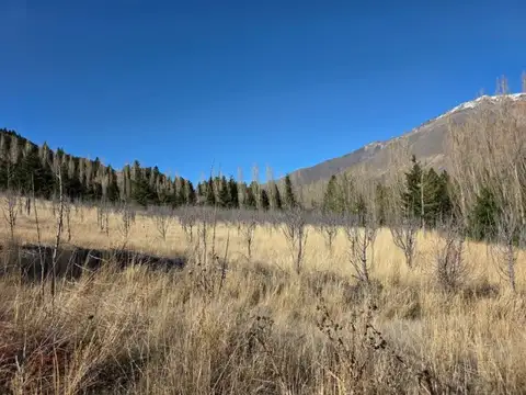 Terreno en Venta en Esquel, Futaleufú