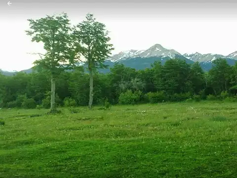 Campo en Venta en Rio Pico, Tehuelches