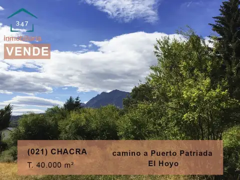 Campo en Venta en El Hoyo, Cushamen