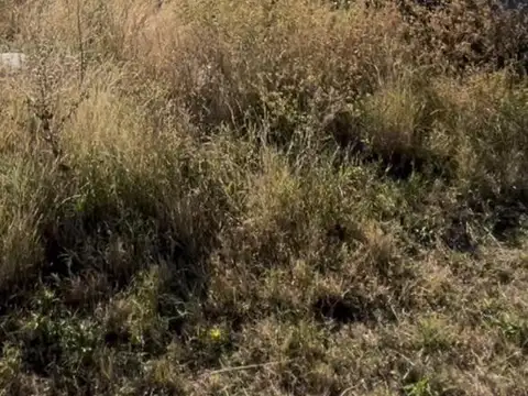 Terreno en Venta en La Punta, Juan Martín de Pueyrredón