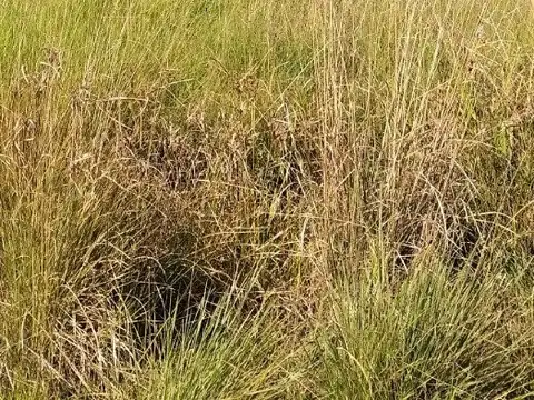 Terreno en Venta en Puerto Tirol, Libertad