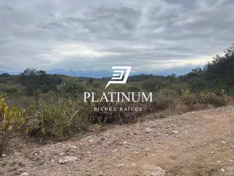 Terreno en Venta en Coronel Moldes, La Viña