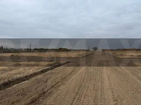 Terreno en Venta en Padre Alejandro Stefanelli, General Roca