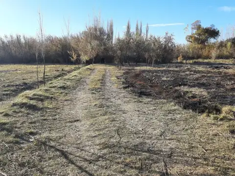 Campo en Venta en General Roca, Río Negro