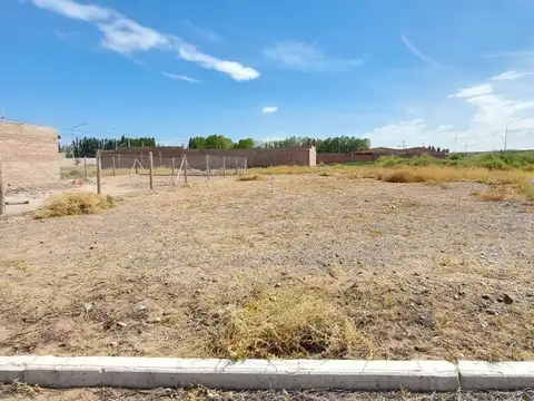 Terreno en Venta en Plottier, Confluencia