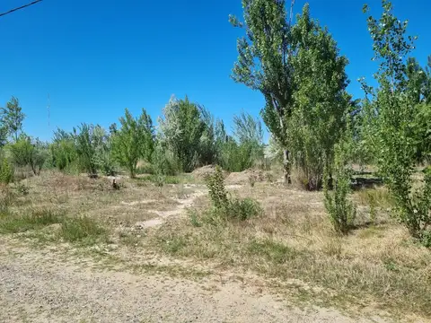 Terreno en Venta en Plottier, Confluencia