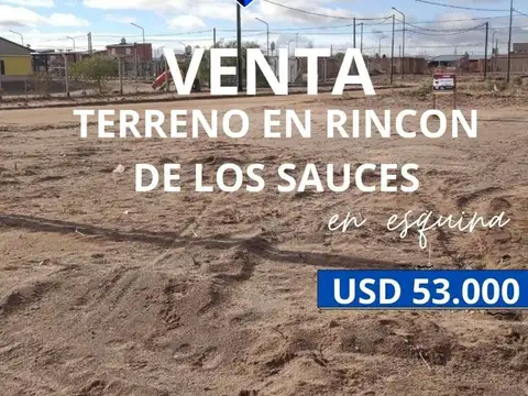 Terreno en Venta en Rincon de los Sauces, Pehuenches