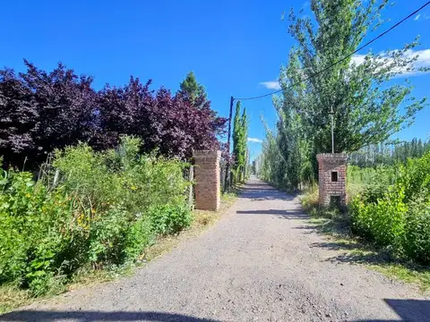 Terreno en Venta en Plottier, Confluencia