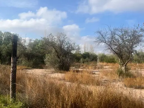 Terreno en Venta en Coquimbito, Maipú