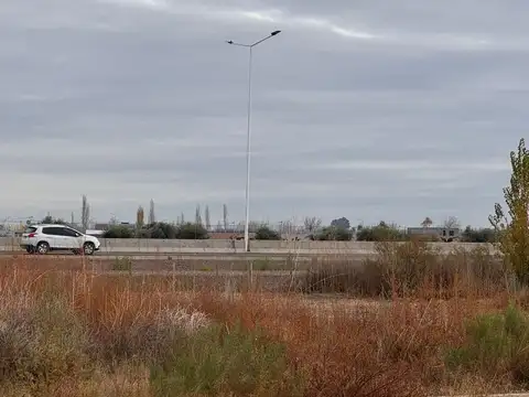 Terreno en Venta en Rivadavia, Mendoza