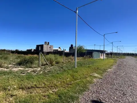 Terreno en Venta en Rivadavia, Mendoza