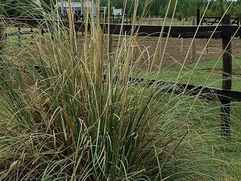 Terreno en Venta en Tunuyan, Tunuyán