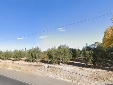 Terreno en Venta en Maipú, Mendoza