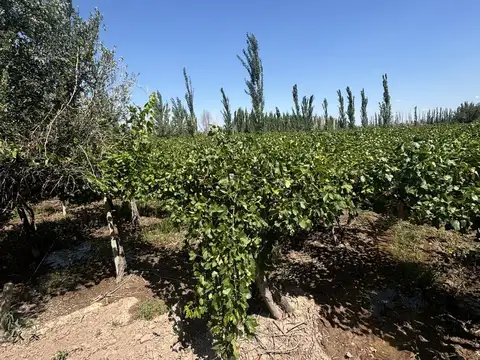 Terreno en Venta en 3 de Mayo, Lavalle
